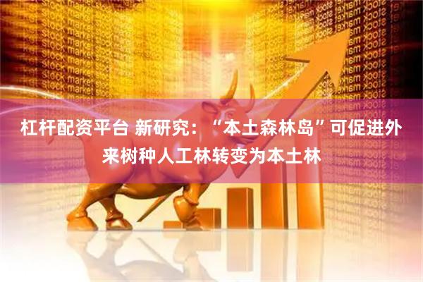 杠杆配资平台 新研究：“本土森林岛”可促进外来树种人工林转变为本土林