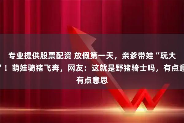 专业提供股票配资 放假第一天，亲爹带娃“玩大了”！萌娃骑猪飞奔，网友：这就是野猪骑士吗，有点意思